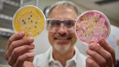 Schimmel doe het zelf test kit - Afbeelding 4